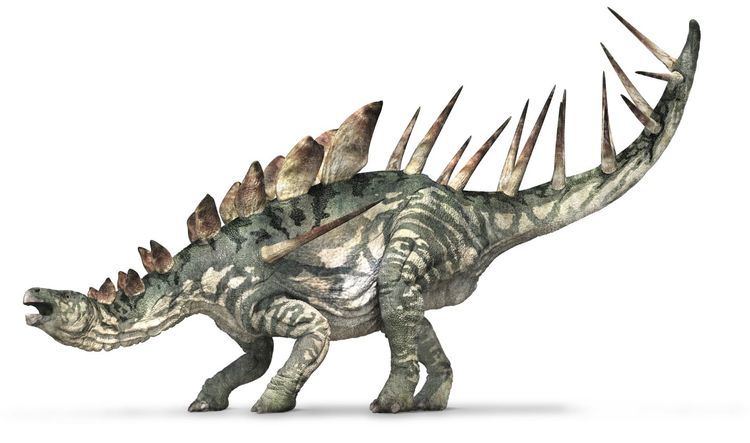 Kentrosaurus Kentrosaurus Dinosaur Kentrosaurus Facts DK Find Out