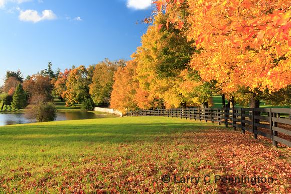 Kentucky Beautiful Landscapes of Kentucky