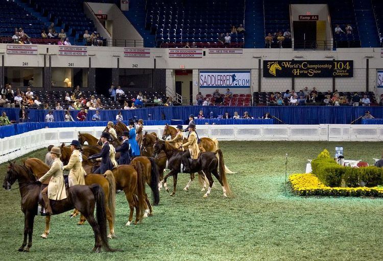 Kentucky State Fair World's Championship Horse Show