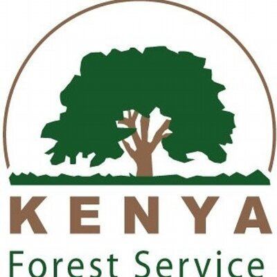 Kenya Forest Service httpspbstwimgcomprofileimages2576051102f1