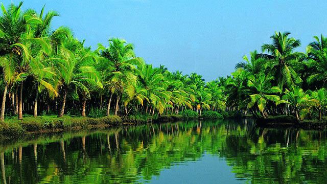 Kerala backwaters Kerala Backwaters