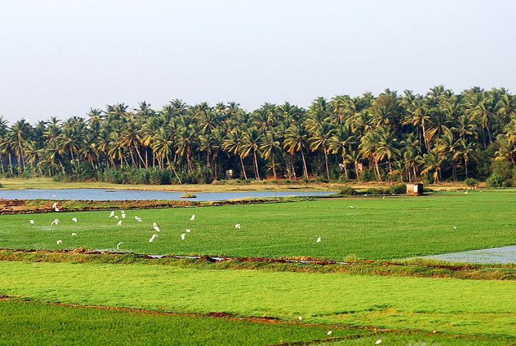 Kerala Beautiful Landscapes of Kerala