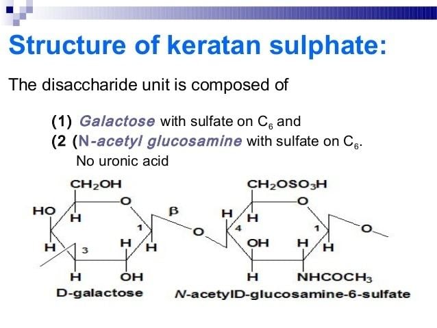 Keratan sulfate Heteroglycans