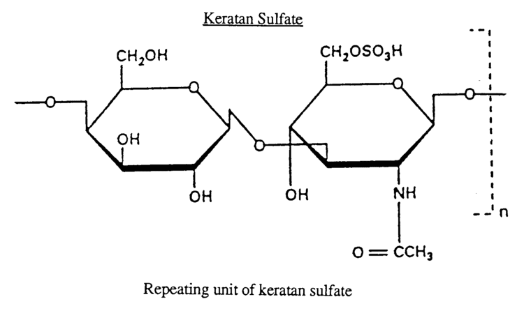 Keratan sulfate Patent EP0656215A1 Glycosaminoglycansynthetic polymer conjugates