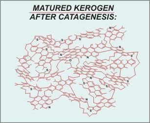 Kerogen Organic Geochemistry and Petrology Asbury Carbons