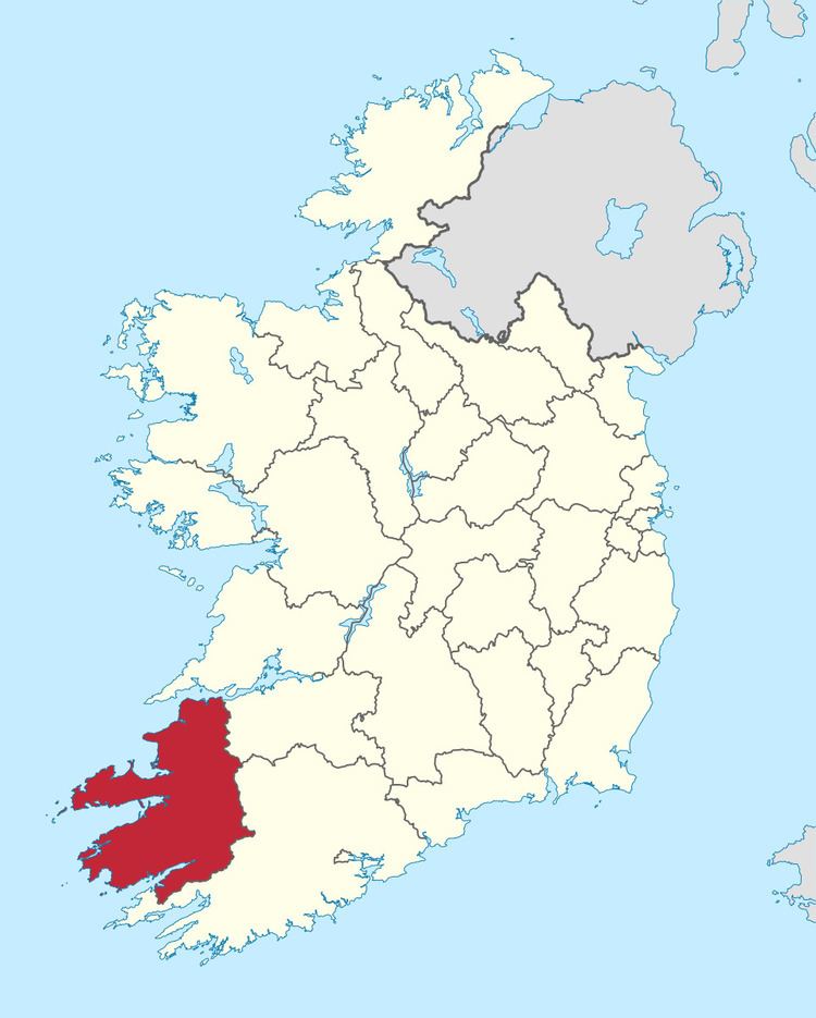 Kerry County Council election, 2004