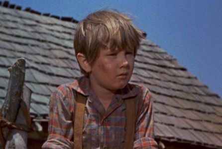 Kevin Corcoran Kevin Corcoran Dies 39Old Yeller39 Actor And TV Producer