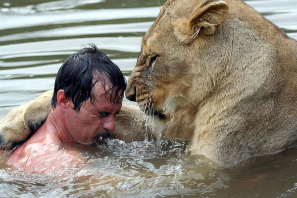 Kevin Richardson (zookeeper) A Man Hugs a Wild Lion Watch this Incredible Video Smag31