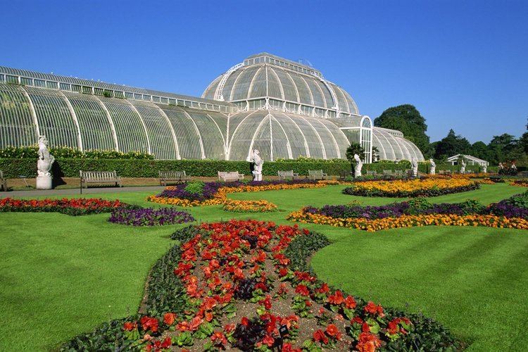 Kew Gardens Cash strapped Kew Gardens granted muchneeded 130m of Government