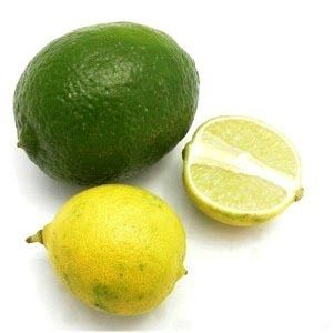 Key lime Key Lime Pie Article GourmetSleuth