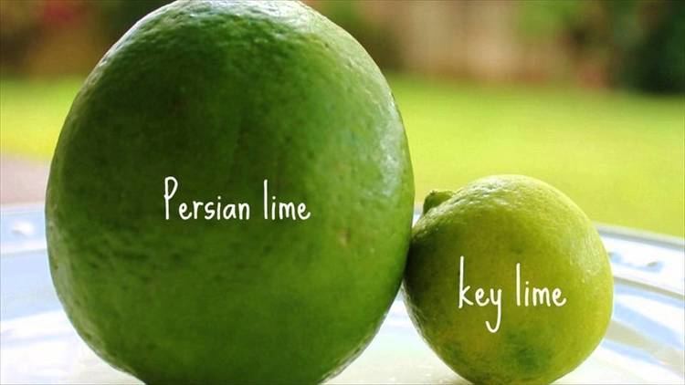 Key lime Difference Between Lime and Key Lime YouTube