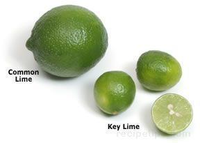 Key lime Key Lime Pie Shooter Dessert Recipe RecipeTipscom