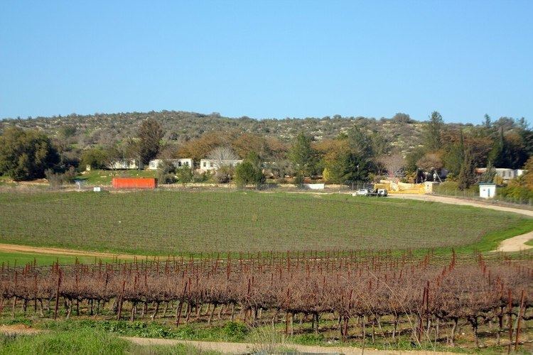 Kfar Zoharim