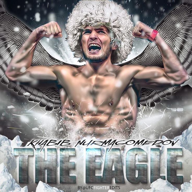 Khabib Nurmagomedov fanmade digital art of Khabib Nurmagomedov if you love MMA you