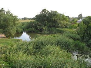 Khava River httpsuploadwikimediaorgwikipediacommonsthu