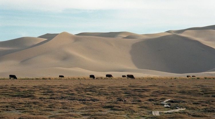 Khongoryn Els Khongor Sand Dunes Khongoryn Els Destination of Mongolia