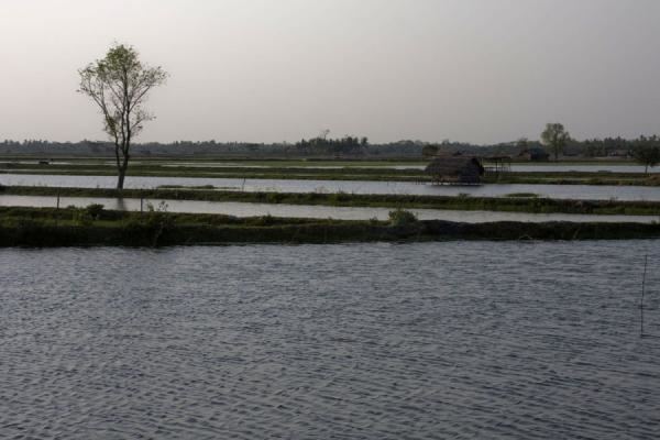 Khulna Beautiful Landscapes of Khulna