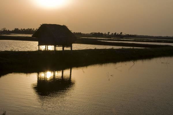 Khulna Beautiful Landscapes of Khulna