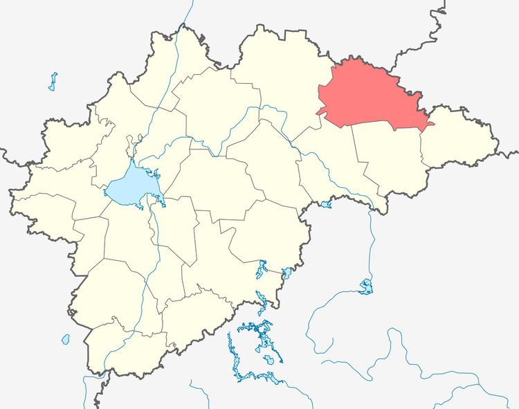 Khvoyninsky District