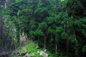 Kii Mountains Kii Mountain Range Sacred Sites and Pilgrimage Routes in Kii