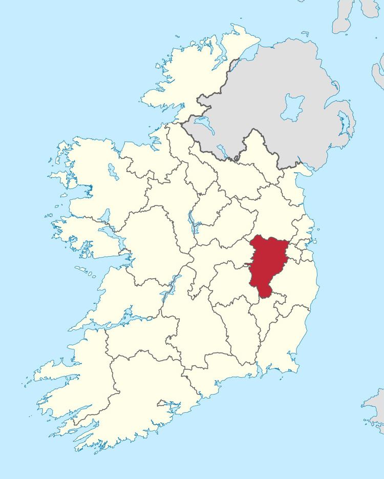 Kildare County Council election, 1999