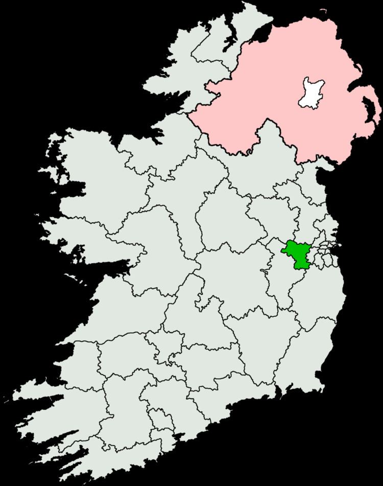 Kildare North by-election, 2005