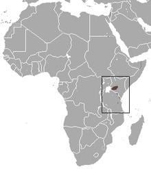 Kilimanjaro shrew httpsuploadwikimediaorgwikipediacommonsthu