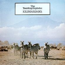 Kilimanjaro (The Teardrop Explodes album) httpsuploadwikimediaorgwikipediaenthumbc