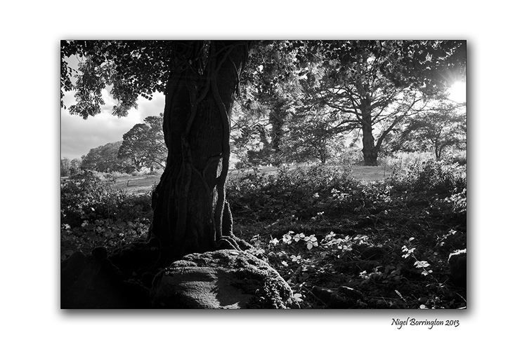 Kilkenny Beautiful Landscapes of Kilkenny