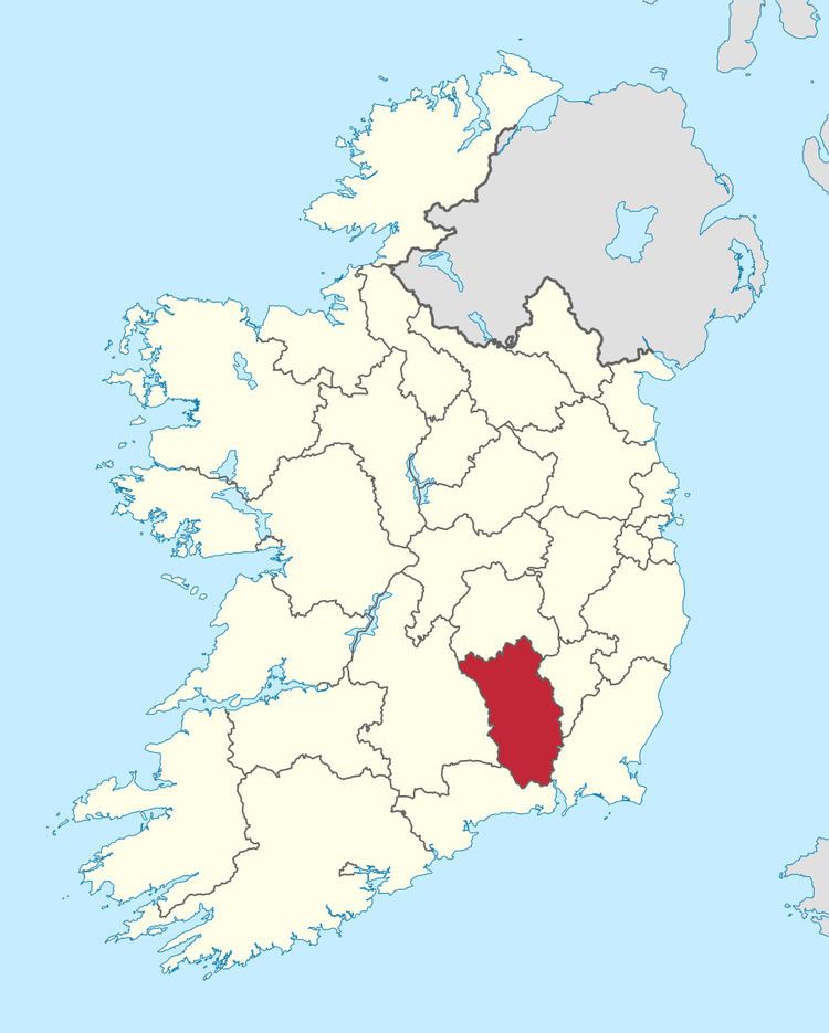 Kilkenny County Council election, 1991