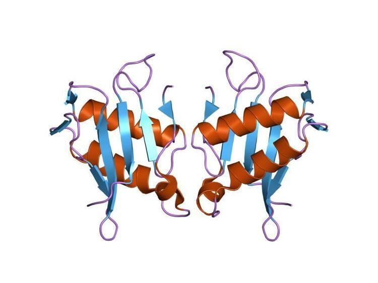 Killer toxin Kp4 family