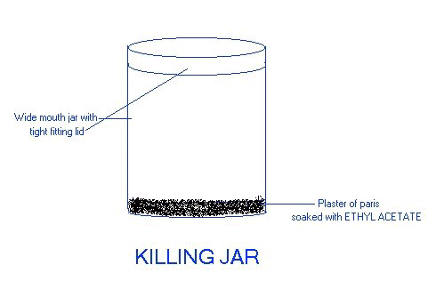 Killing jar collecting equipment
