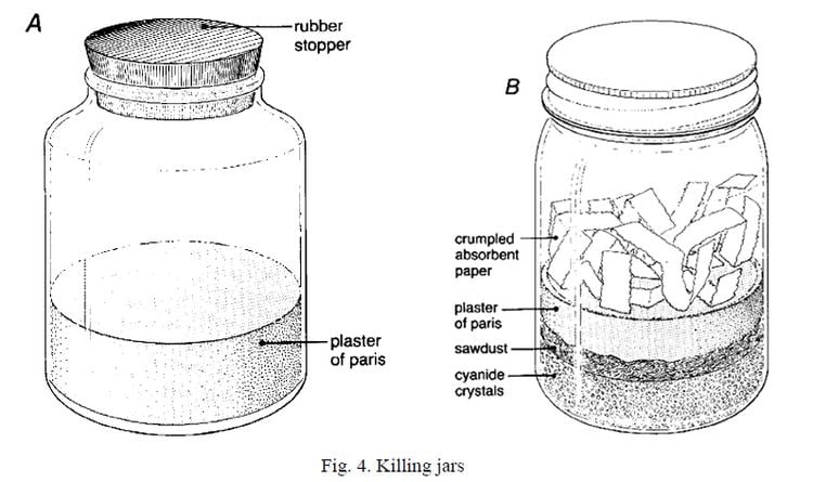 Killing jar Killing Jars or Bottles