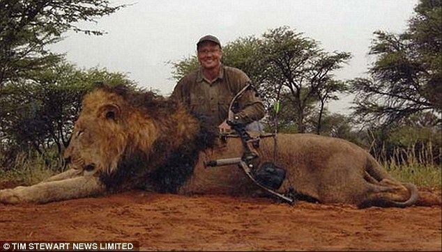 Killing of Cecil the lion Cecil the lion39s killing goes largely unnoticed in Zimbabwe Daily
