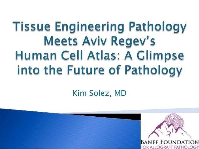 Kim Solez Kim Solez Tissue Engineering Pathology Meets Human Cell Atlas a Glimp