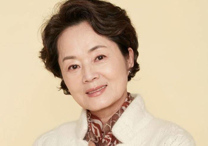 Kim Young-ae Actress Kim Young Ae passes away