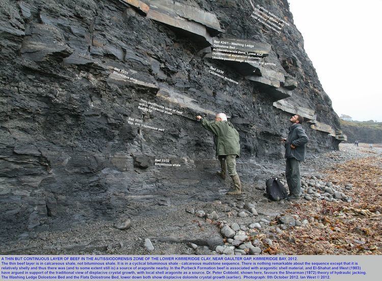Kimmeridge Clay Kimmeridge Clay and Kimmeridge Bay Geology by Ian West