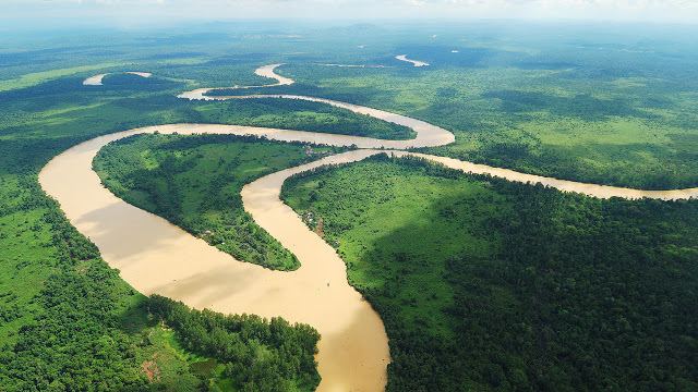 Kinabatangan River wwwmalaysiasitenlimageskinabatangan3jpg