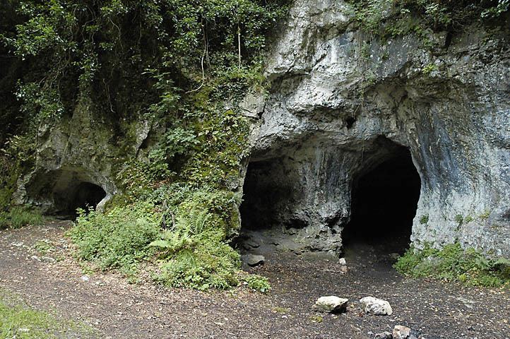 King Arthur's Cave King Arthur39s Cave Cave or Rock Shelter The Megalithic Portal and