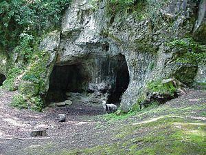 King Arthur's Cave httpsuploadwikimediaorgwikipediacommonsthu