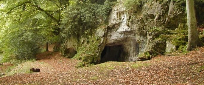 King Arthur's Cave King Arthur39s Cave The Wildlife Trusts