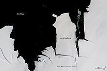 King Baudouin Ice Shelf httpsuploadwikimediaorgwikipediacommonsthu
