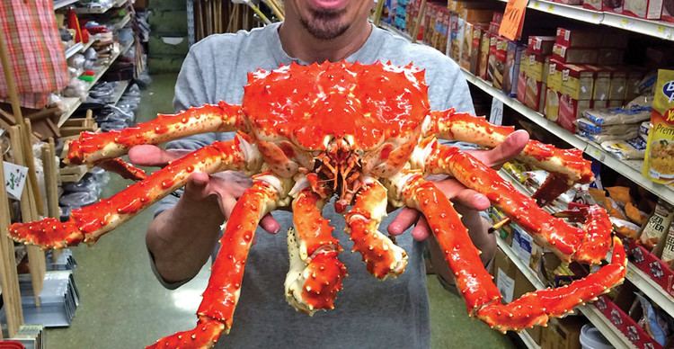 King crab Alaskan King Crab At Rubens Ruben39s Grocery