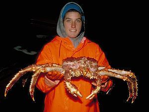 King crab Alaskan king crab fishing Wikipedia