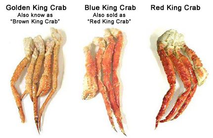 King crab King Crab 101 Alaskan King Crab Facts FishEx Seafoods