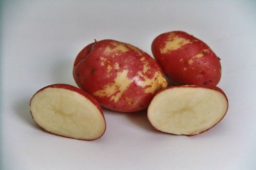 King Edward (potato) Red King Edward 1916 Carroll39s Heritage Potatoes