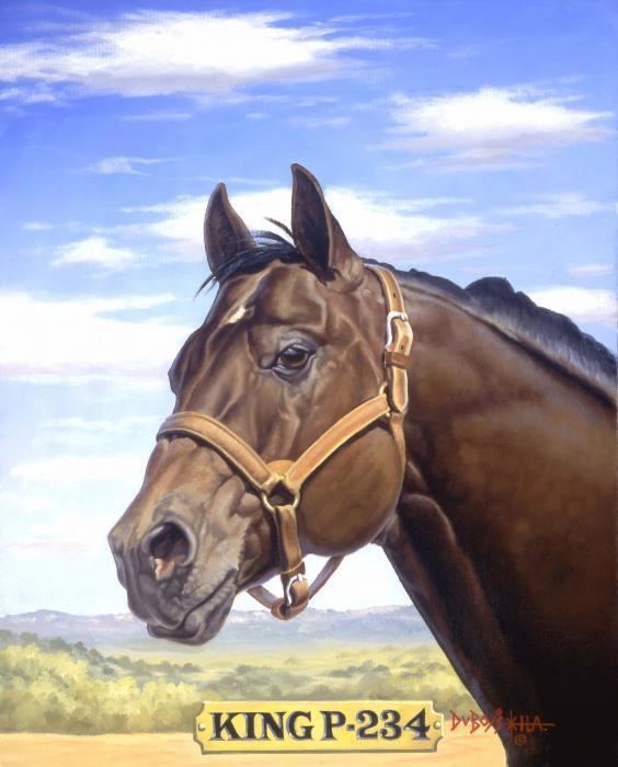 King (horse) 1000 images about King p234 on Pinterest Horses for sale Colors