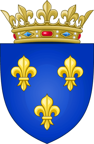 Kingdom of France FileArms of the Kingdom of France Modernesvg Wikimedia Commons