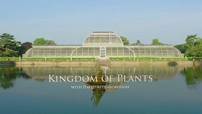 Kingdom of Plants 3D Kingdom of Plants 3D Wikipedia