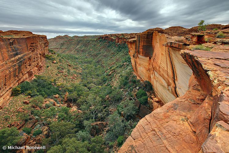 Kings Canyon (Northern Territory) Australian Landscape Photography Kings Canyon Watarrka National